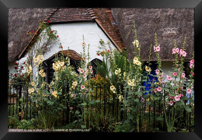 A thatched cottage with Hollyhock flowers Framed Print by Joy Walker