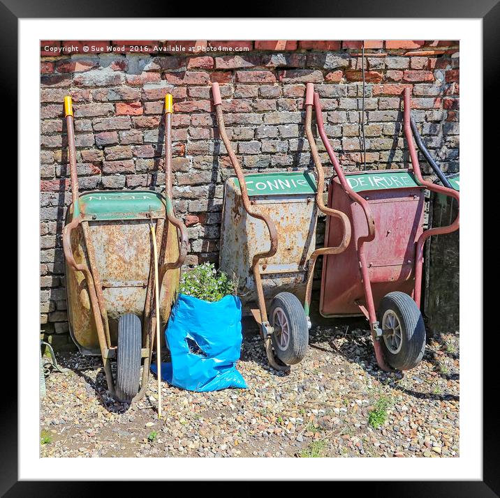 WHEELBARROWS WITH NAMES Framed Mounted Print by Sue Wood