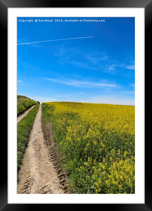 Summer field of yellow, blue sky, vapor trail Framed Mounted Print by Sue Wood