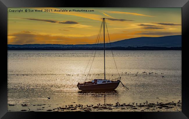 Port Carlisle sunrise, sail boat at anchor. Framed Print by Sue Wood