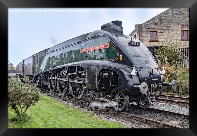 Steam train Union of South Africa 60009 Framed Print by Sue Wood