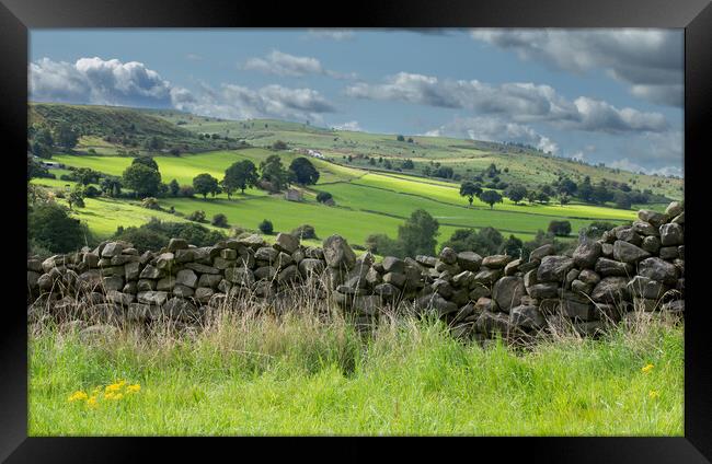 Yorkshire Countryside.  Framed Print by Ros Crosland