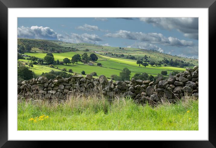 Yorkshire Countryside.  Framed Mounted Print by Ros Crosland