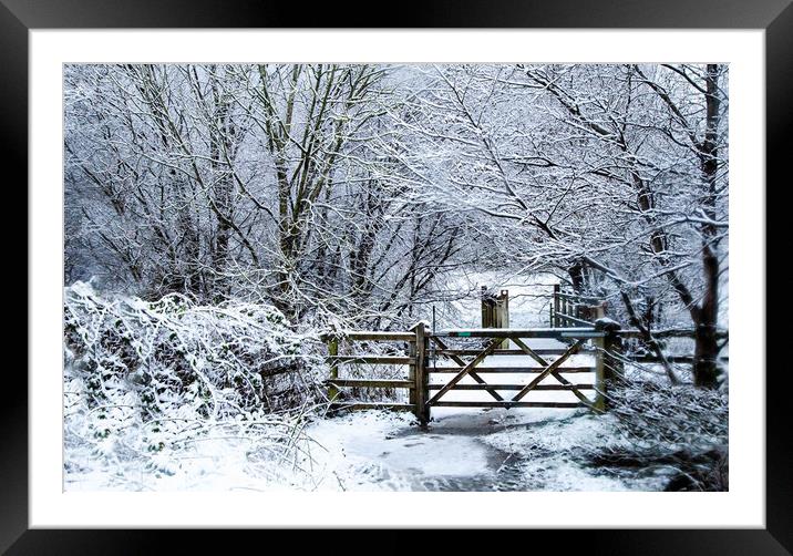 A winter landscape in Yorkshire.  Framed Mounted Print by Ros Crosland