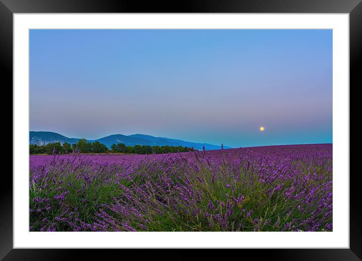 Lavender Moon II Framed Mounted Print by Marcel de Groot