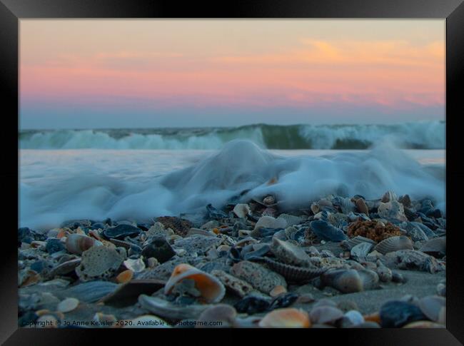 Seashells at sunset Framed Print by Jo Anne Keasler