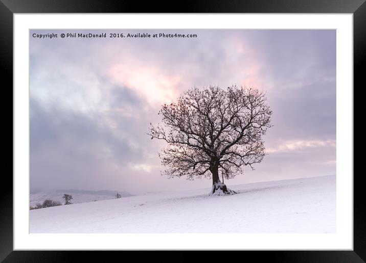 Winter is Coming, Snowbound Tree at Dawn Framed Mounted Print by Phil MacDonald