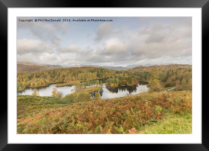 Autumn at Tarn Hows Framed Mounted Print by Phil MacDonald
