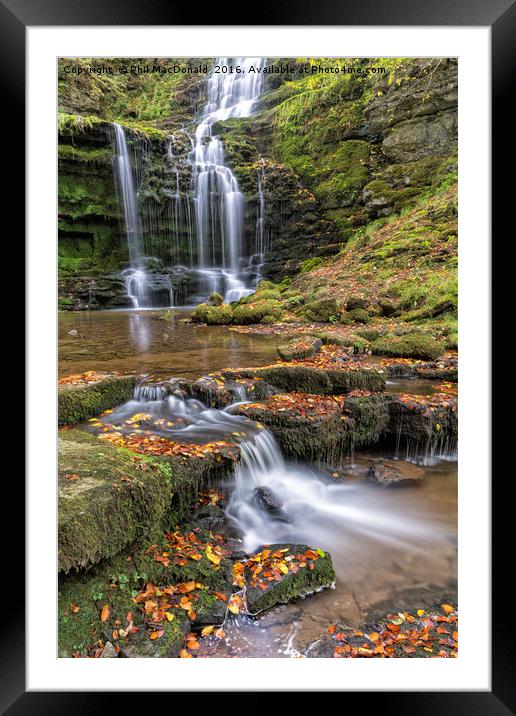 Scaleber Force Waterfall in Autumn (portrait) Framed Mounted Print by Phil MacDonald