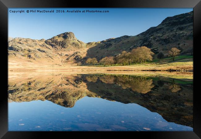 Mirror Image, Blea Tarn at Dawn Framed Print by Phil MacDonald