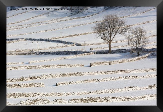 Snow and Stone Walls, Yorkshire Dales Framed Print by Phil MacDonald