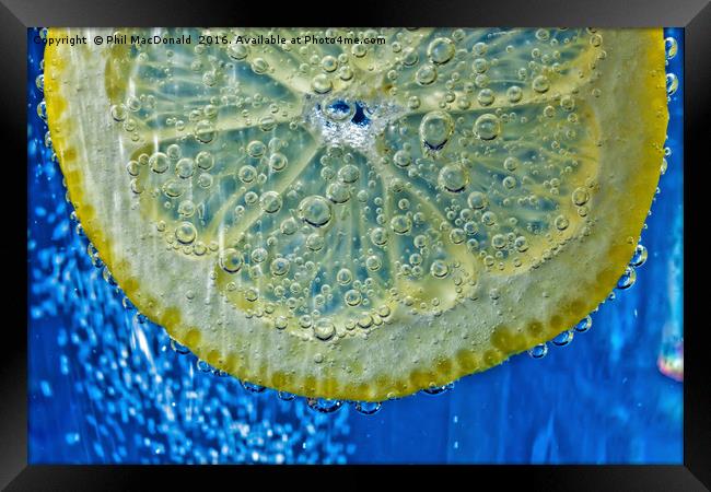 Lemon Fizz Framed Print by Phil MacDonald