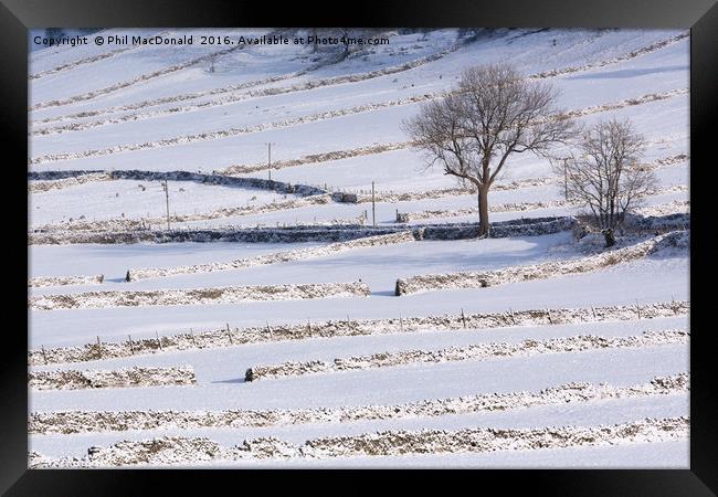 Stone Walls in the Snow, Yorkshire Dales Framed Print by Phil MacDonald
