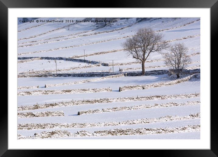 Stone Walls in the Snow, Yorkshire Dales Framed Mounted Print by Phil MacDonald