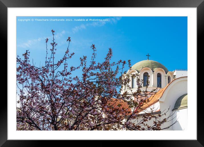 Cherry blossom tree against an Orthodox church. Framed Mounted Print by Theocharis Charitonidis