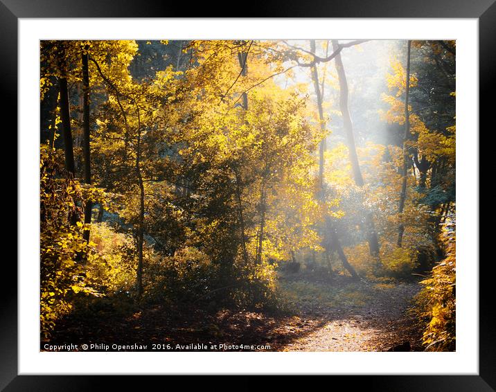 Autumn Light Framed Mounted Print by Philip Openshaw