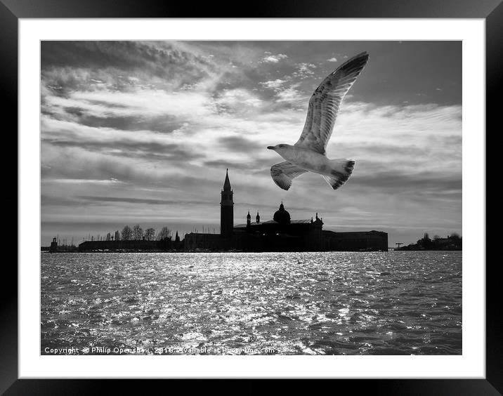 Flypast Venice Framed Mounted Print by Philip Openshaw