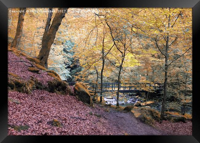 autumn woodland with river and bridge in Hardcastl Framed Print by Philip Openshaw
