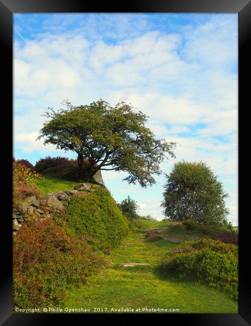 beautiful grassy pathway at the top of a hill in c Framed Print by Philip Openshaw