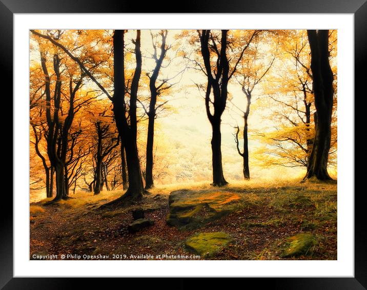misty morning autumn forest sunrise in calderdale Framed Mounted Print by Philip Openshaw