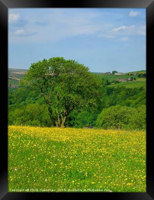 spring meadow and flowers Framed Print by Philip Openshaw
