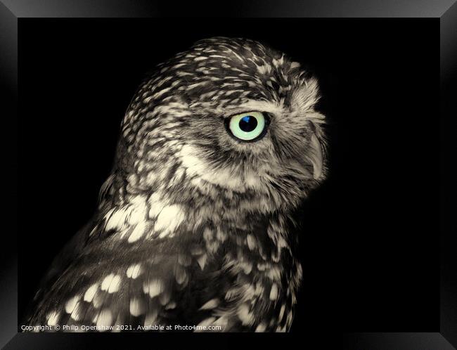 Little Owl - Portrait Framed Print by Philip Openshaw