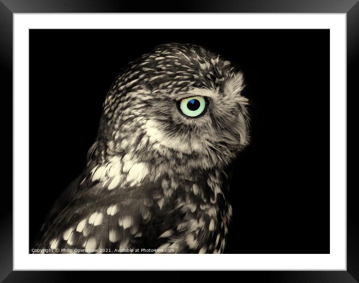 Little Owl - Portrait Framed Mounted Print by Philip Openshaw