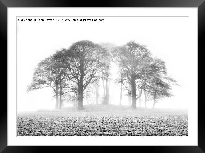 Beech Trees in Mist Framed Mounted Print by John Potter