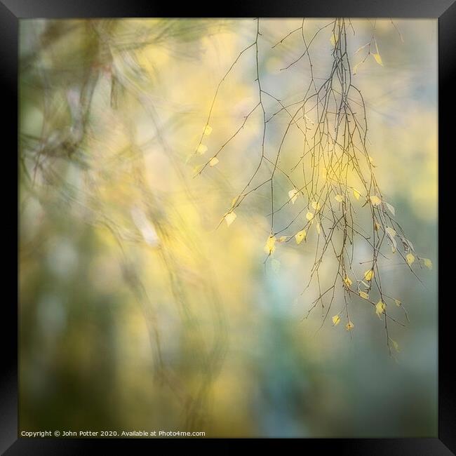 Autumn Leaves Framed Print by John Potter