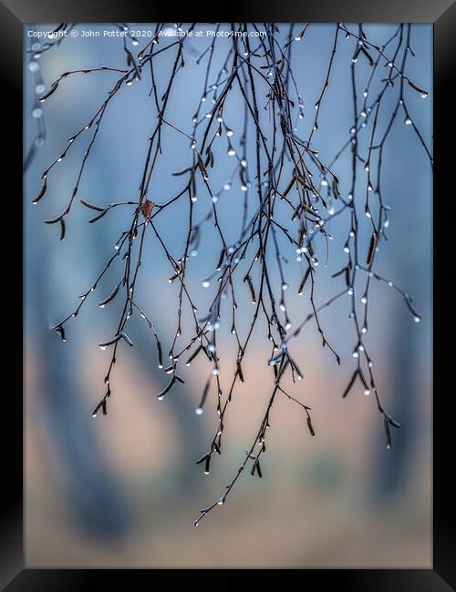 Morning Dew Framed Print by John Potter