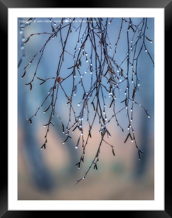 Morning Dew Framed Mounted Print by John Potter