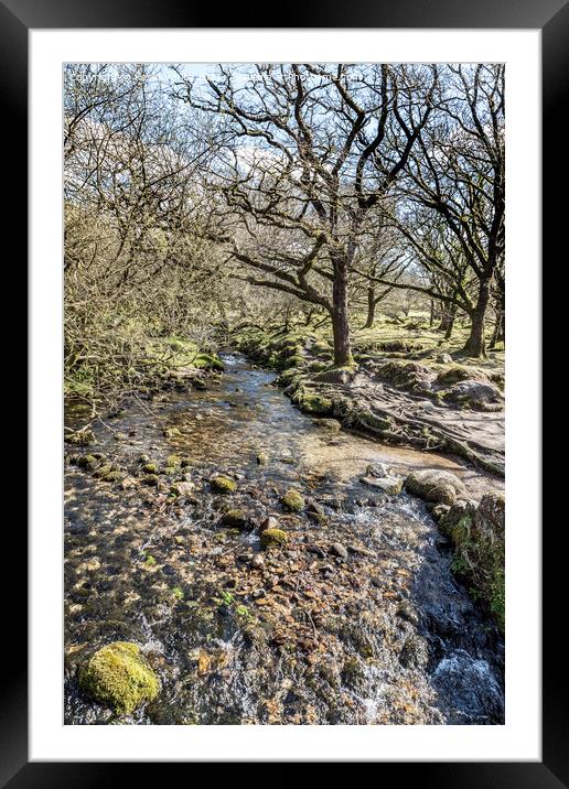 Rocky stream at  Burrator reservoir Framed Mounted Print by Kevin White
