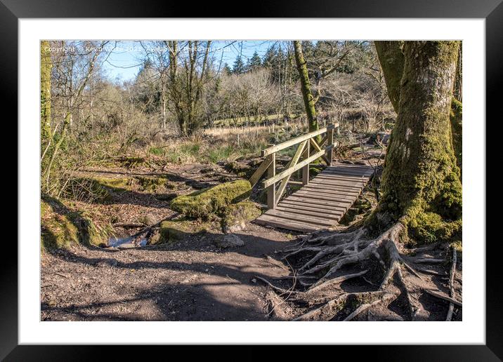 Small wooden bridge at Burrator reservoir Framed Mounted Print by Kevin White