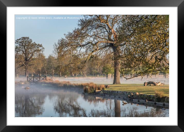 Bushy Park first thing Framed Mounted Print by Kevin White