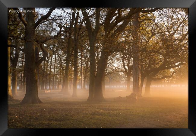 Magical sunlight through the trees Framed Print by Kevin White