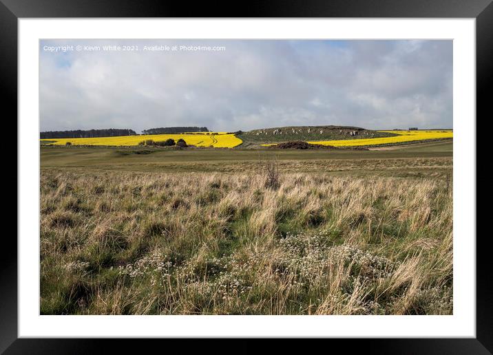 Wild flowers and rape seed field Framed Mounted Print by Kevin White