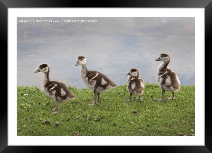 Where is Mum Framed Mounted Print by Kevin White