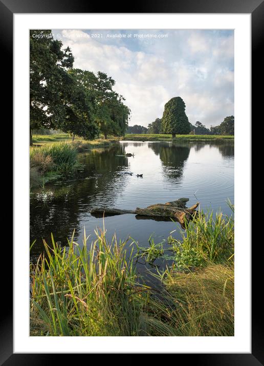 Pond Walk Surrey Framed Mounted Print by Kevin White