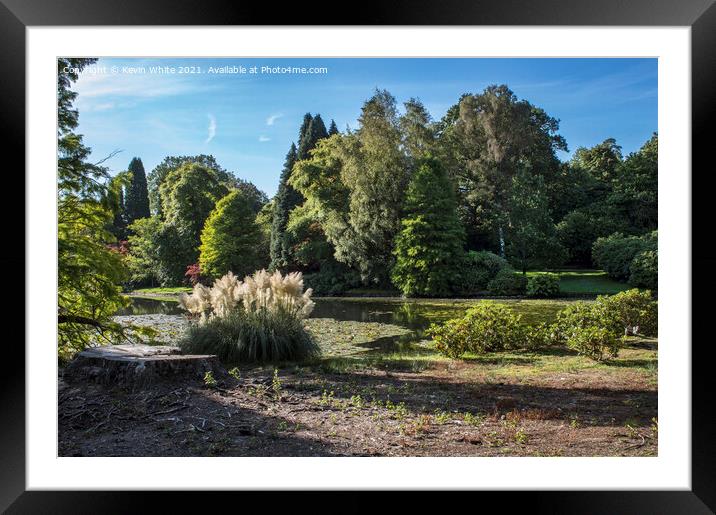 Trees and flora of Sheffield Park Framed Mounted Print by Kevin White