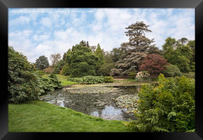 Pond side at Sheffield Park Framed Print by Kevin White