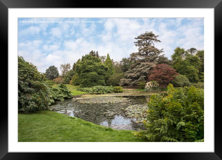 Pond side at Sheffield Park Framed Mounted Print by Kevin White