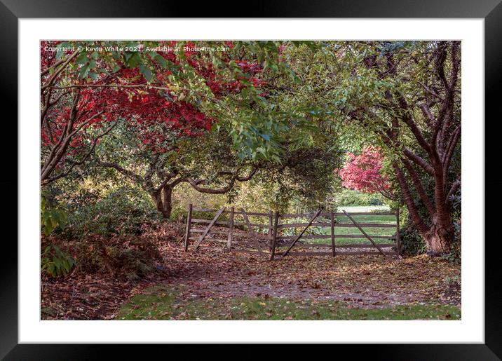 Colours of November Framed Mounted Print by Kevin White