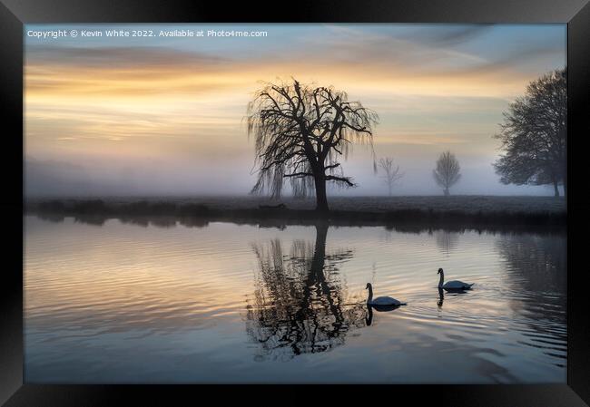 Swans pond Framed Print by Kevin White