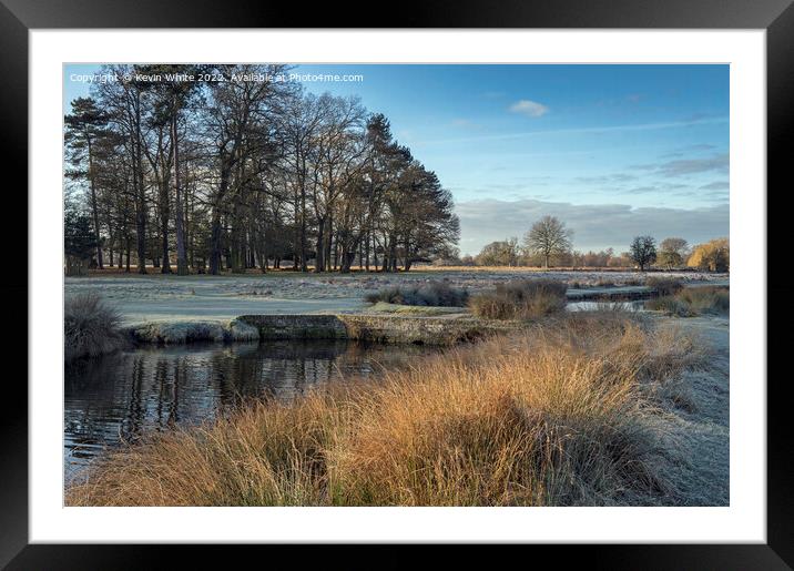 Subtle colours of winter Framed Mounted Print by Kevin White