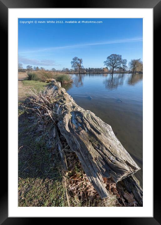 Interesting log Framed Mounted Print by Kevin White