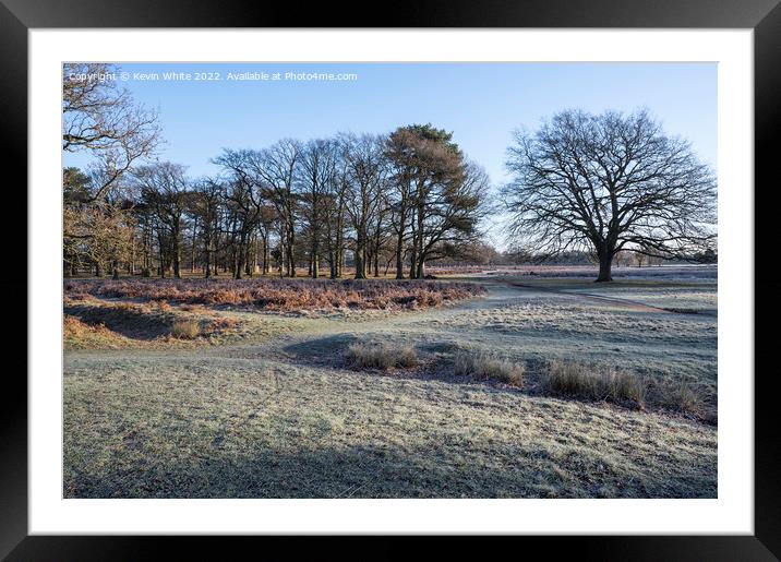 Bushy Park walk in the frost Framed Mounted Print by Kevin White
