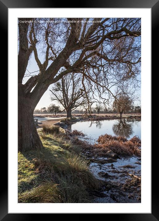 Low sun over boggy pond Framed Mounted Print by Kevin White