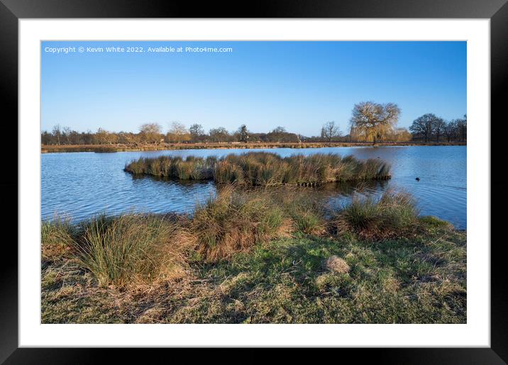 Shades of winter colours over pond Framed Mounted Print by Kevin White