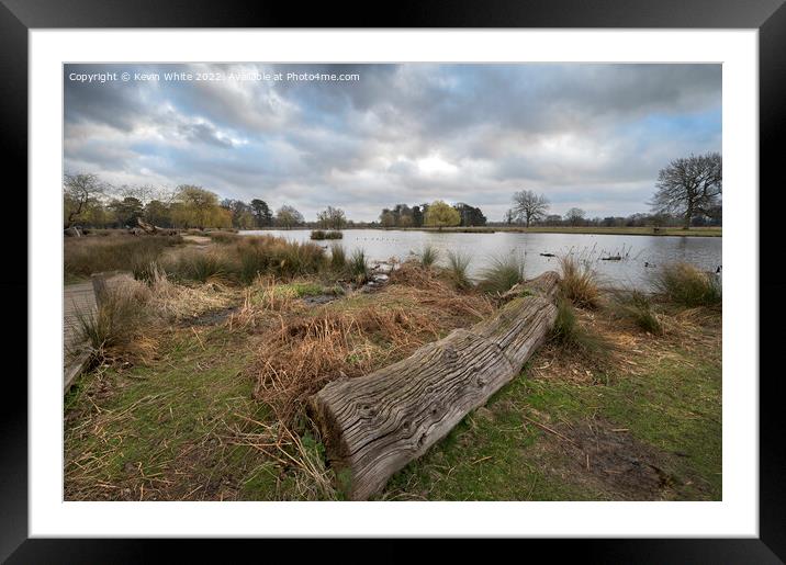 Fallen tree trunk left as seat Framed Mounted Print by Kevin White