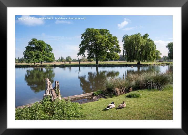 Perfect place for ducks Framed Mounted Print by Kevin White